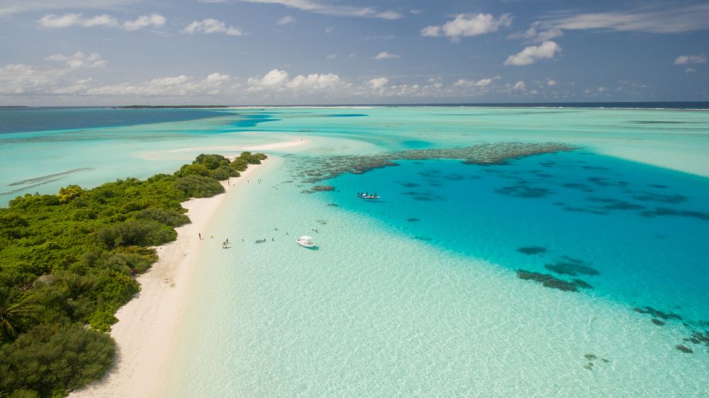 do-not-take-success-for-granted beach