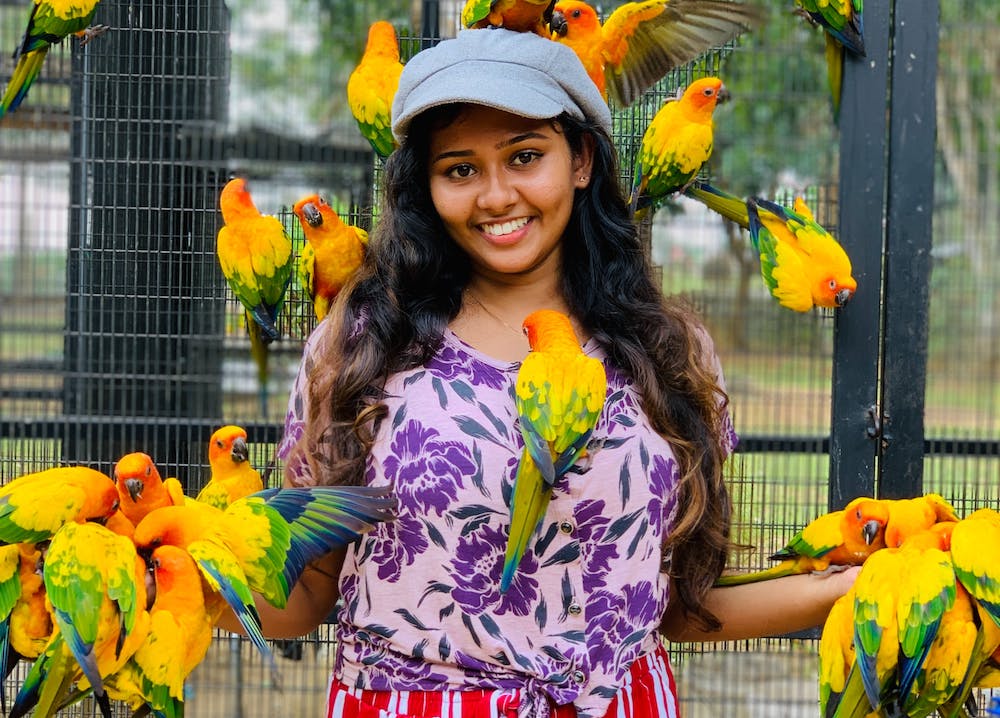 15 Wildly Fun Outfits to Wear to a Zoo Party Panaprium