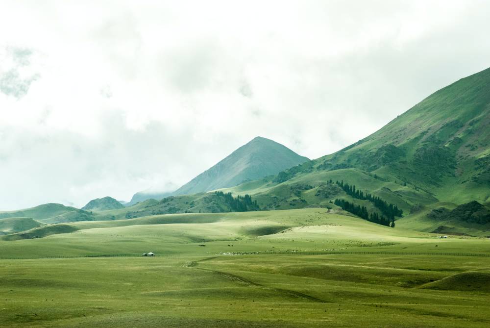 green landscape