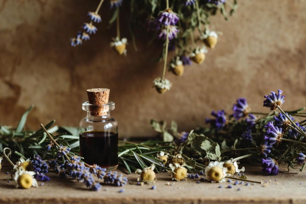 Herbal Magic for Beginners