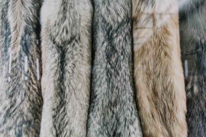 fur clothes collection
