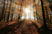 What Your Season of Birth Says About Your True Destiny
