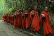 Vajrayana Buddhism for Beginners: How to Start Studying and Practicing