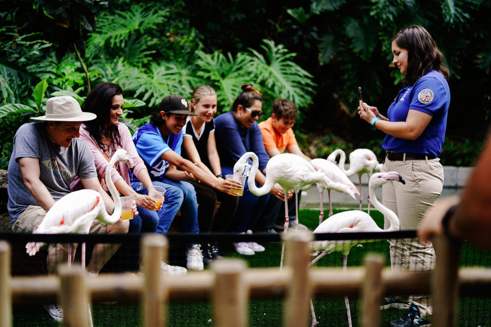 what zookeepers wear