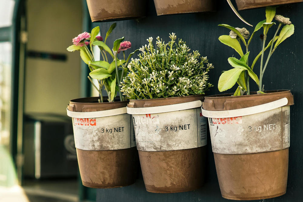 Will Herbs Survive Winter in Pots? Complete Guide to Growing Herbs
