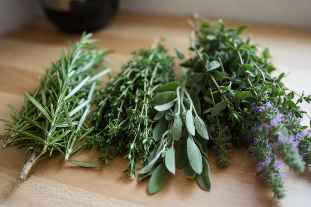 how to dry fresh herbs at home