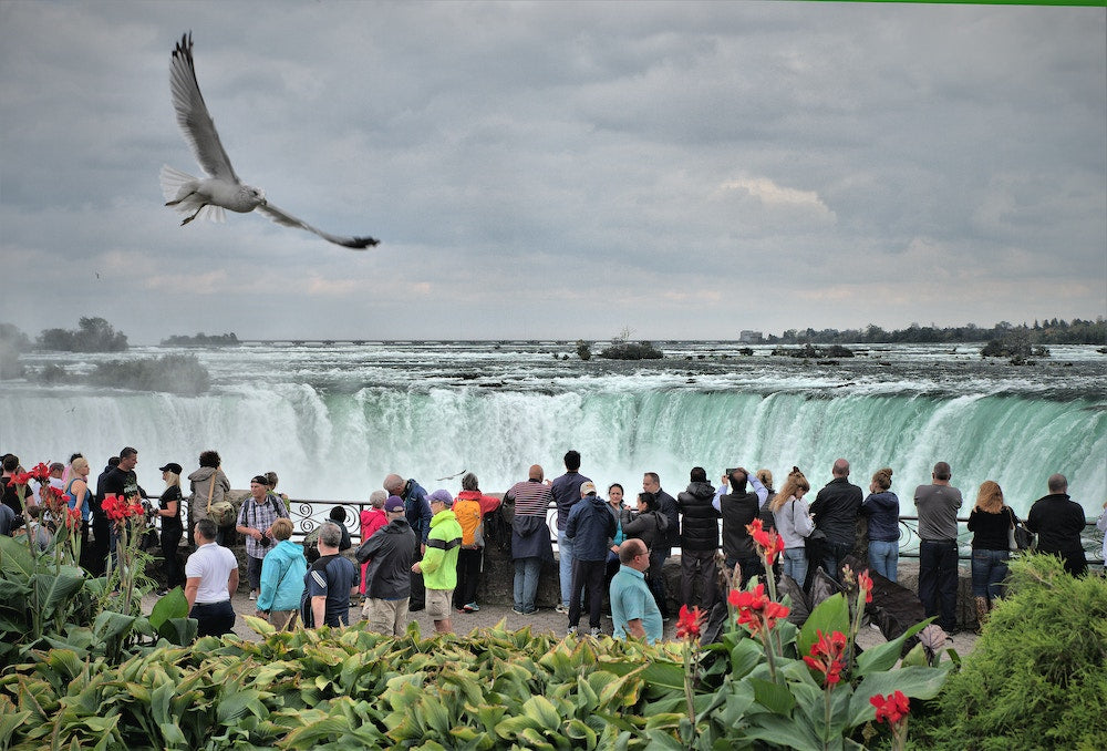 niagara falls