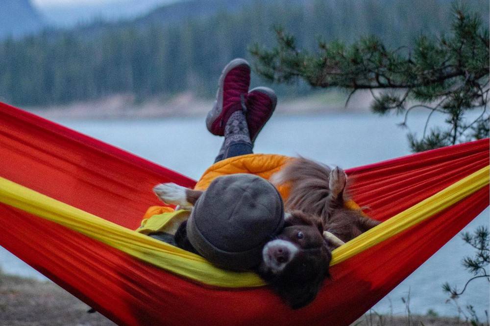 Oboz Sustainability Facts, Rating, Goals Panaprium