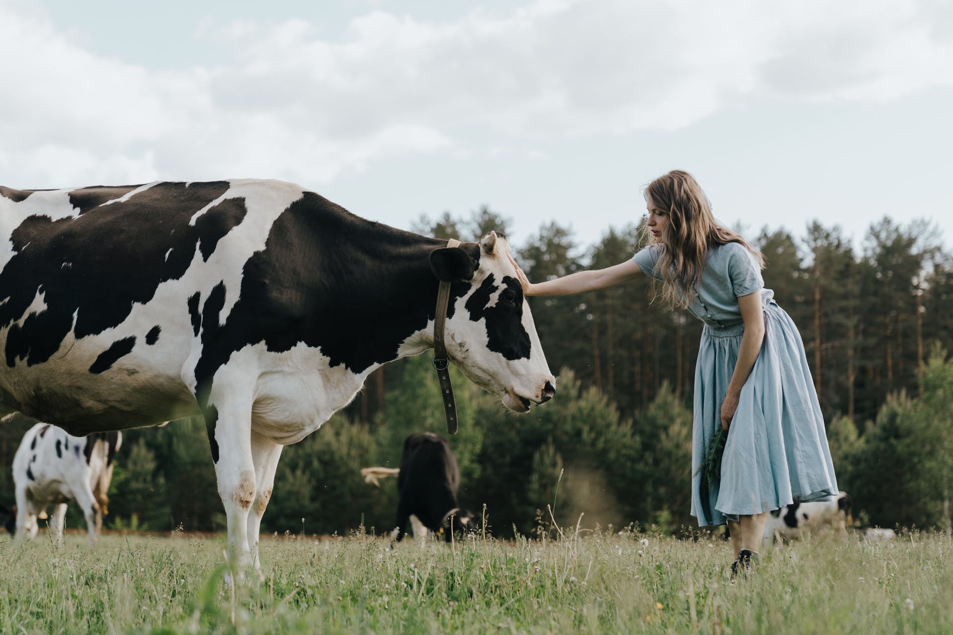 Farm party outfits