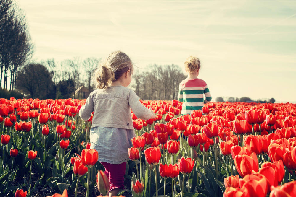 You Were Born in Spring: What This Means For Your Life Path
