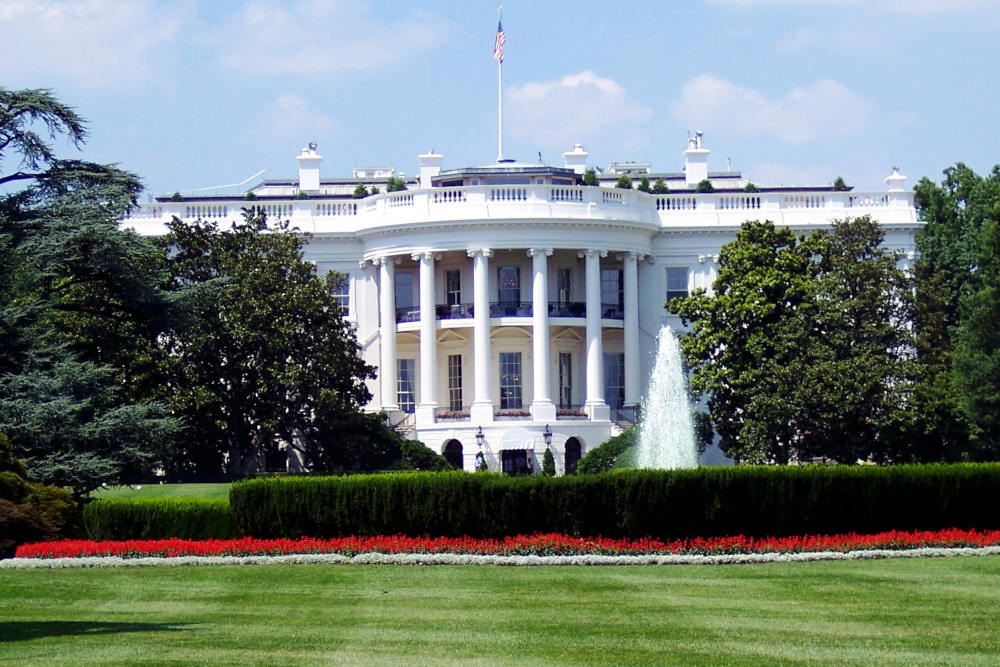 Why Local Elections Are More Powerful Than the White House